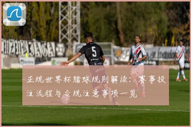 正规世界杯赌球规则解读：赛事投注流程与合规注意事项一览