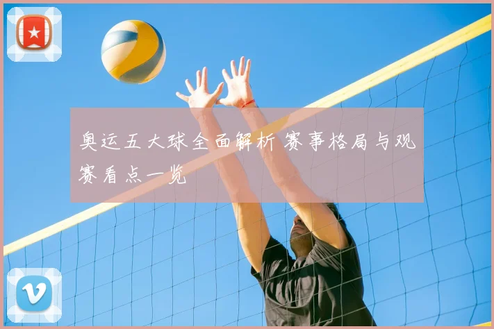 奥运五大球全面解析 赛事格局与观赛看点一览