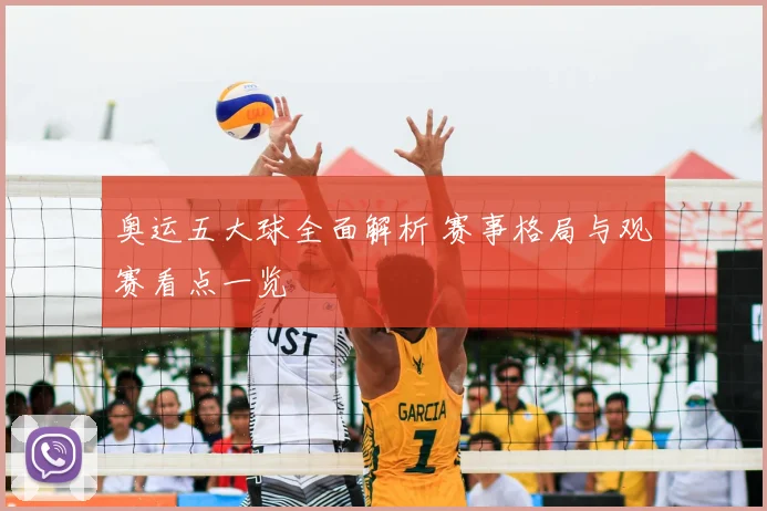 奥运五大球全面解析 赛事格局与观赛看点一览